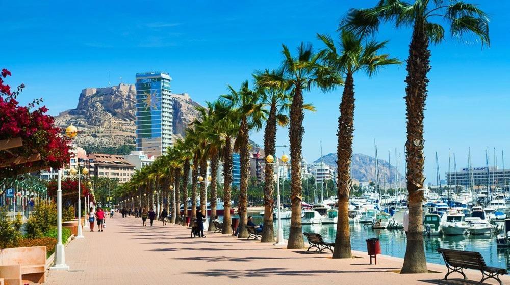 Luxury Apartments Near The Beach And Downtown Centrum 8 Alicante Eksteriør bilde